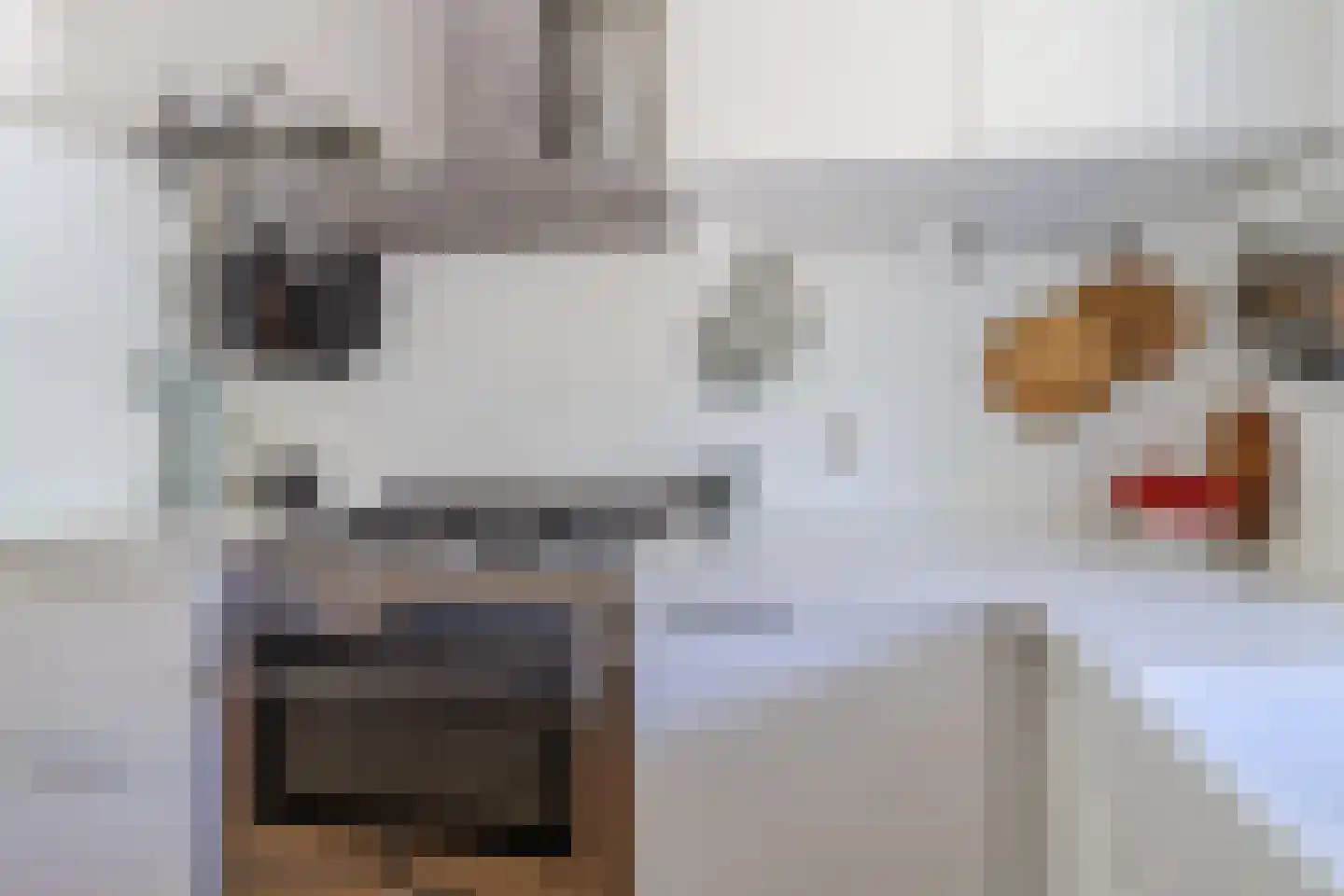 Zijdevlinder 6 Leiden thumbnail 19