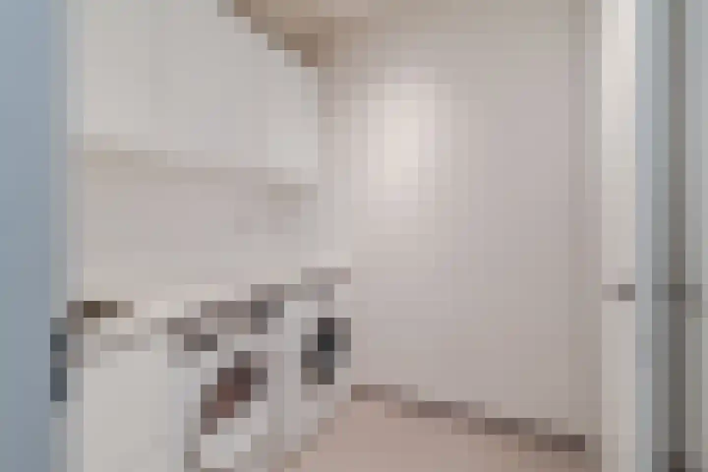 Zijdevlinder 6 Leiden thumbnail 21