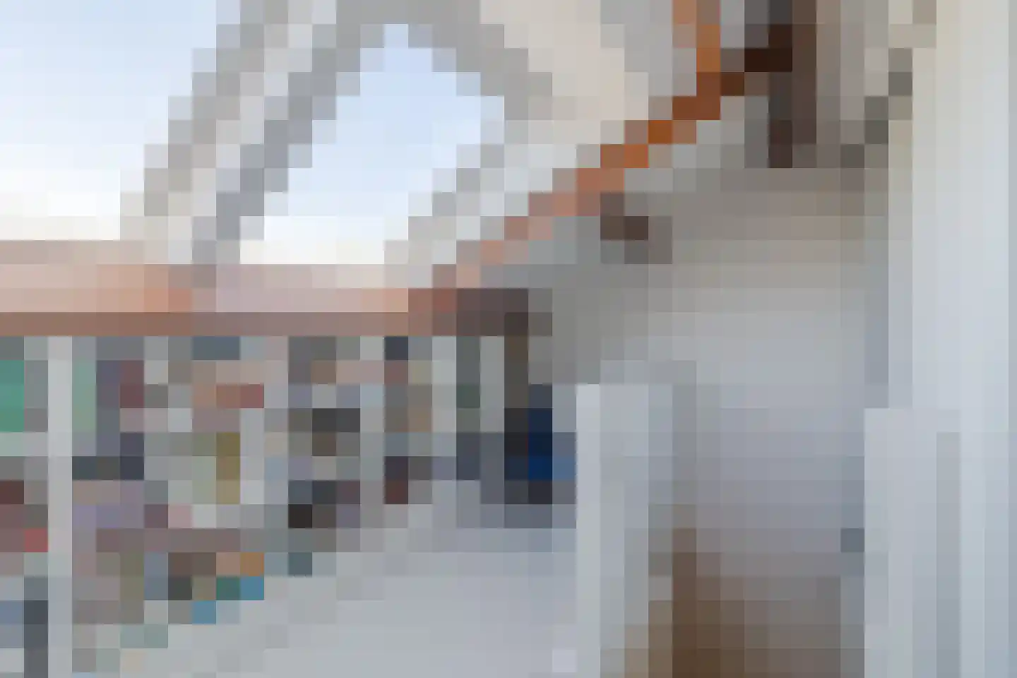 Zijdevlinder 6 Leiden thumbnail 33