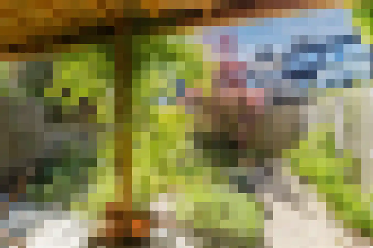Zijdevlinder 6 Leiden thumbnail 35