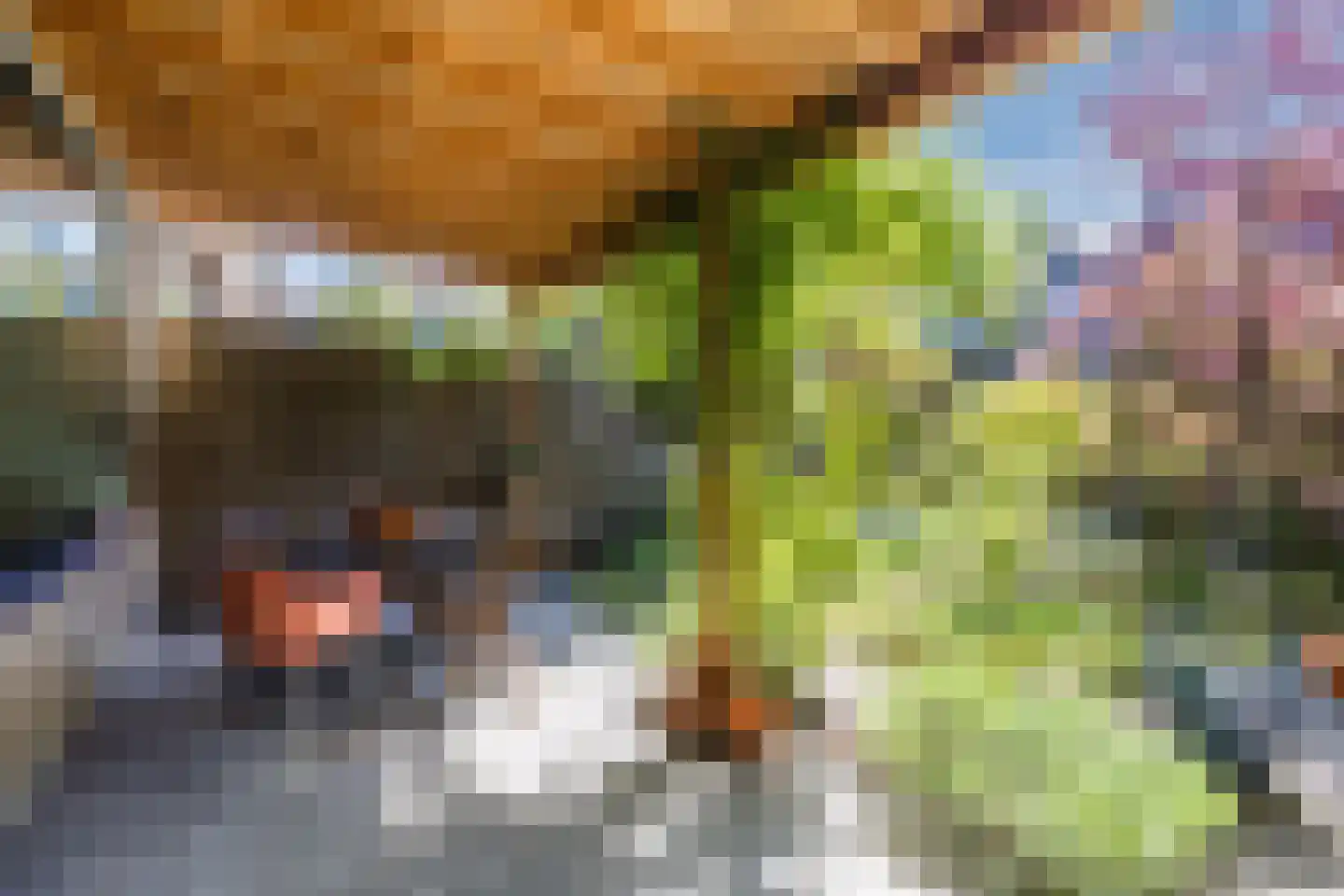 Zijdevlinder 6 Leiden thumbnail 36