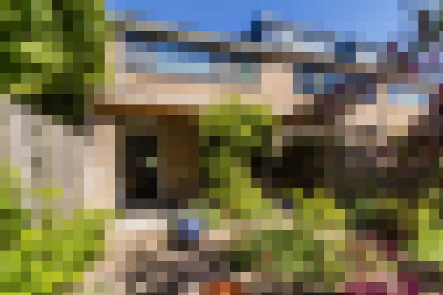 Zijdevlinder 6 Leiden thumbnail 37