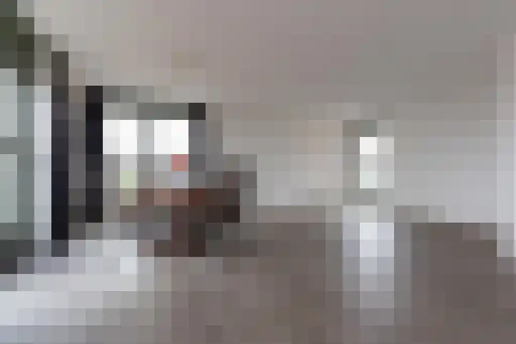 Zijdevlinder 70 Nijkerk thumbnail 10