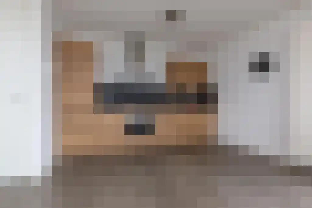 Zijdevlinder 70 Nijkerk thumbnail 13
