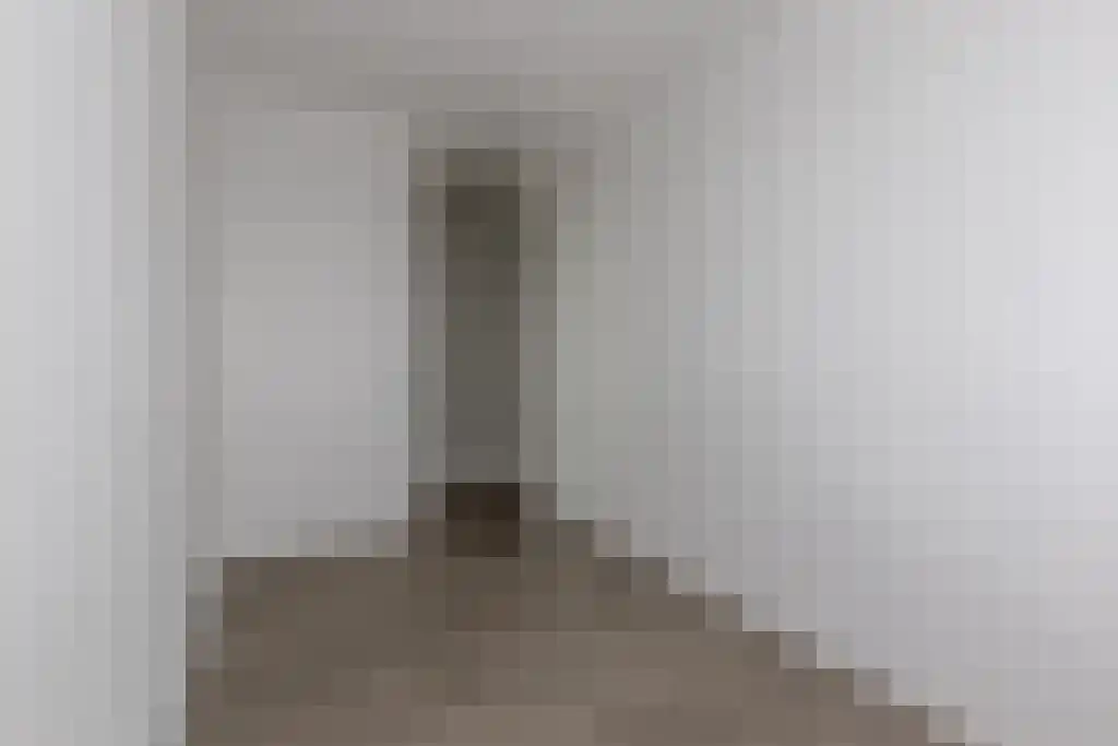 Zijdevlinder 70 Nijkerk thumbnail 19