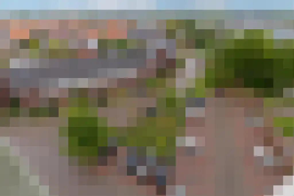 Zijdevlinder 70 Nijkerk thumbnail 23