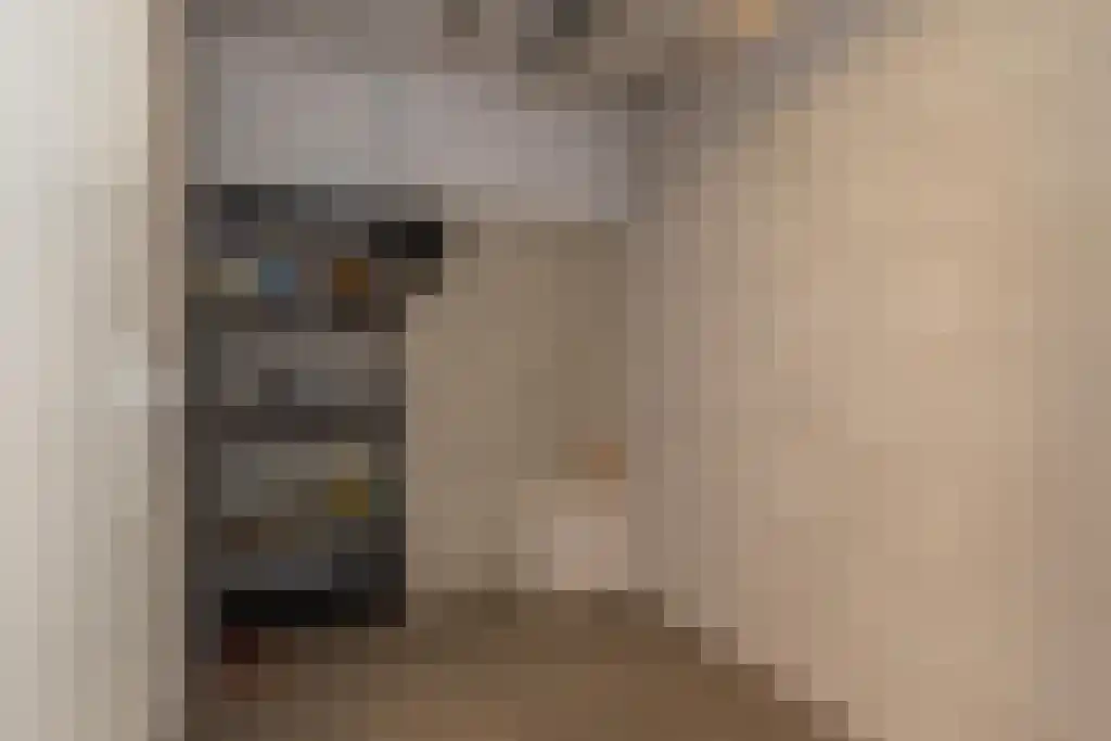 Zijdevlinder 70 Nijkerk thumbnail 27