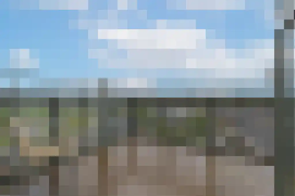 Zijdevlinder 70 Nijkerk thumbnail 4