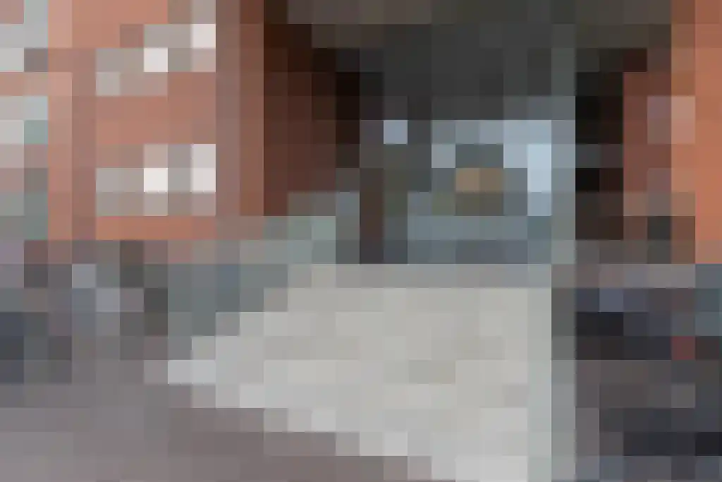 Zijdevlinder 70 Nijkerk thumbnail 6