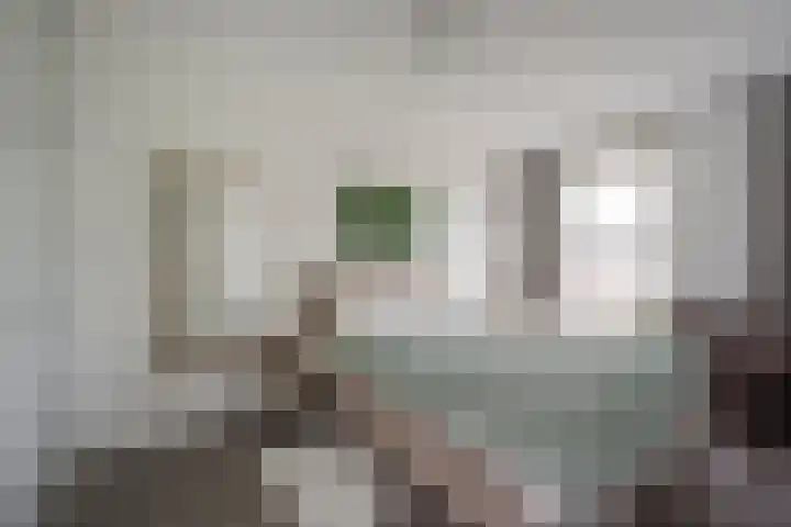 Zijdevlinder 94 Nijkerk thumbnail 19