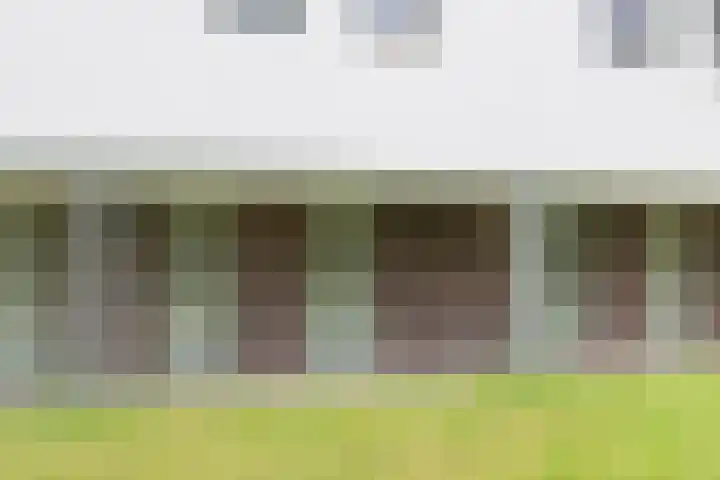 Zijdevlinder 94 Nijkerk thumbnail 31