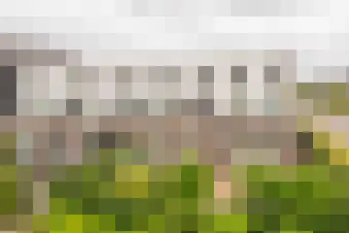 Zijdevlinder 94 Nijkerk thumbnail 33