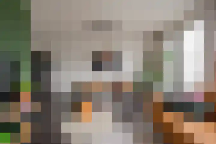 Zijdevlinder 94 Nijkerk thumbnail 6