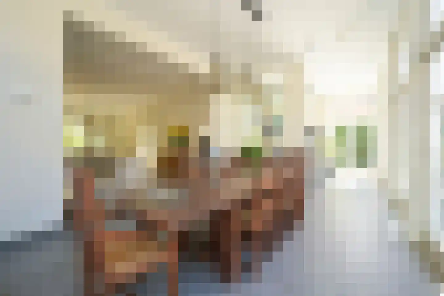 Zijdeweg 4 Wassenaar thumbnail 15