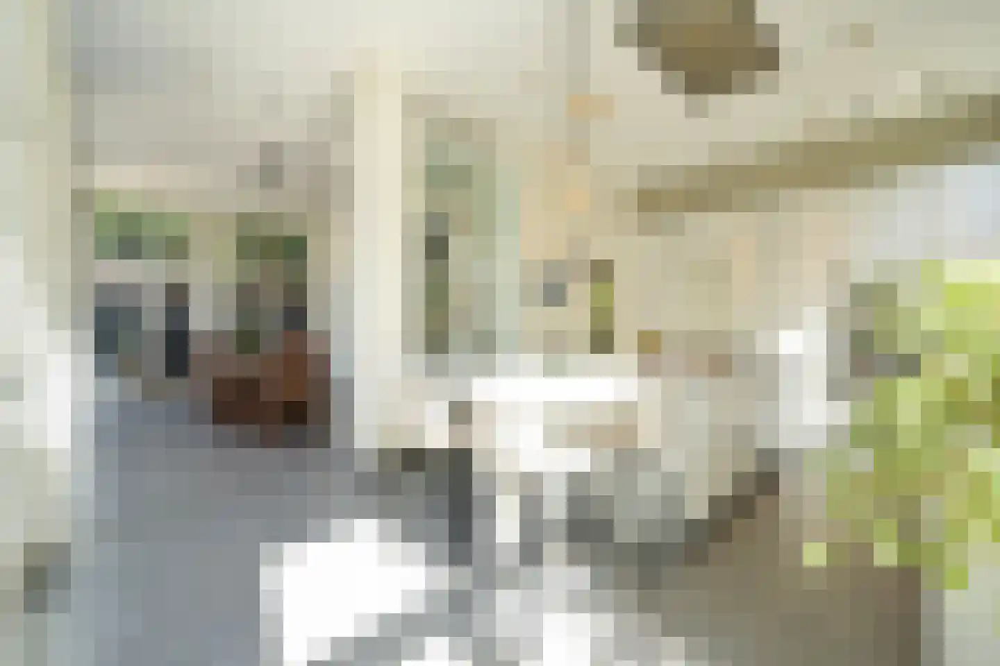 Zijdeweg 4 Wassenaar thumbnail 16