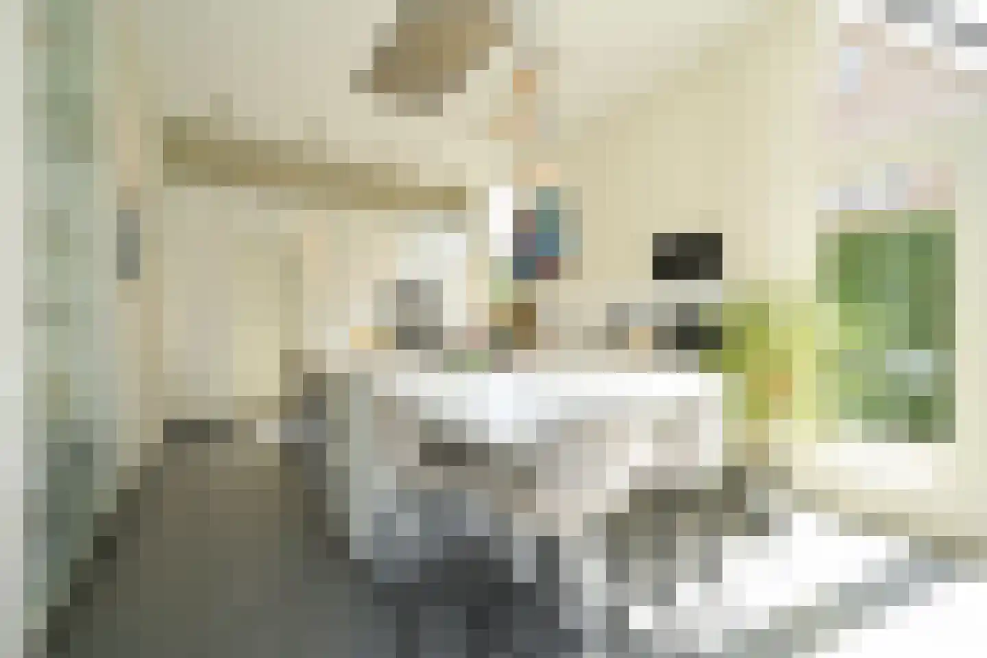 Zijdeweg 4 Wassenaar thumbnail 17