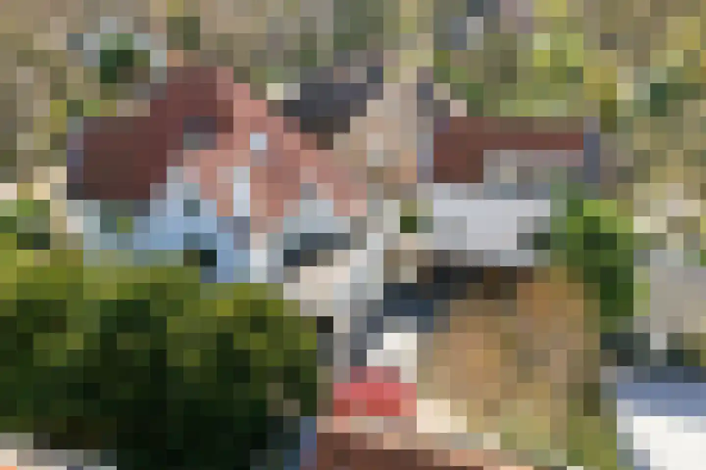 Zijdeweg 4 Wassenaar thumbnail 27