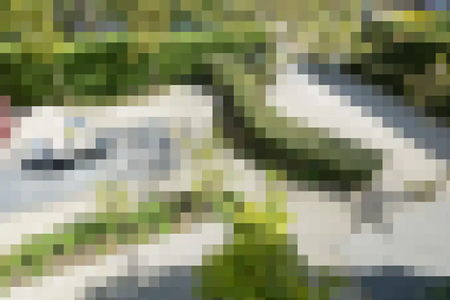 Zijdeweg 4 Wassenaar thumbnail 31