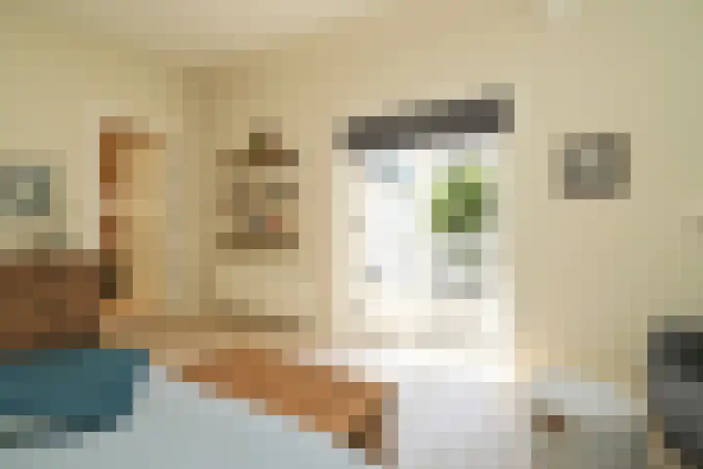 Zijdeweg 4 Wassenaar thumbnail 33