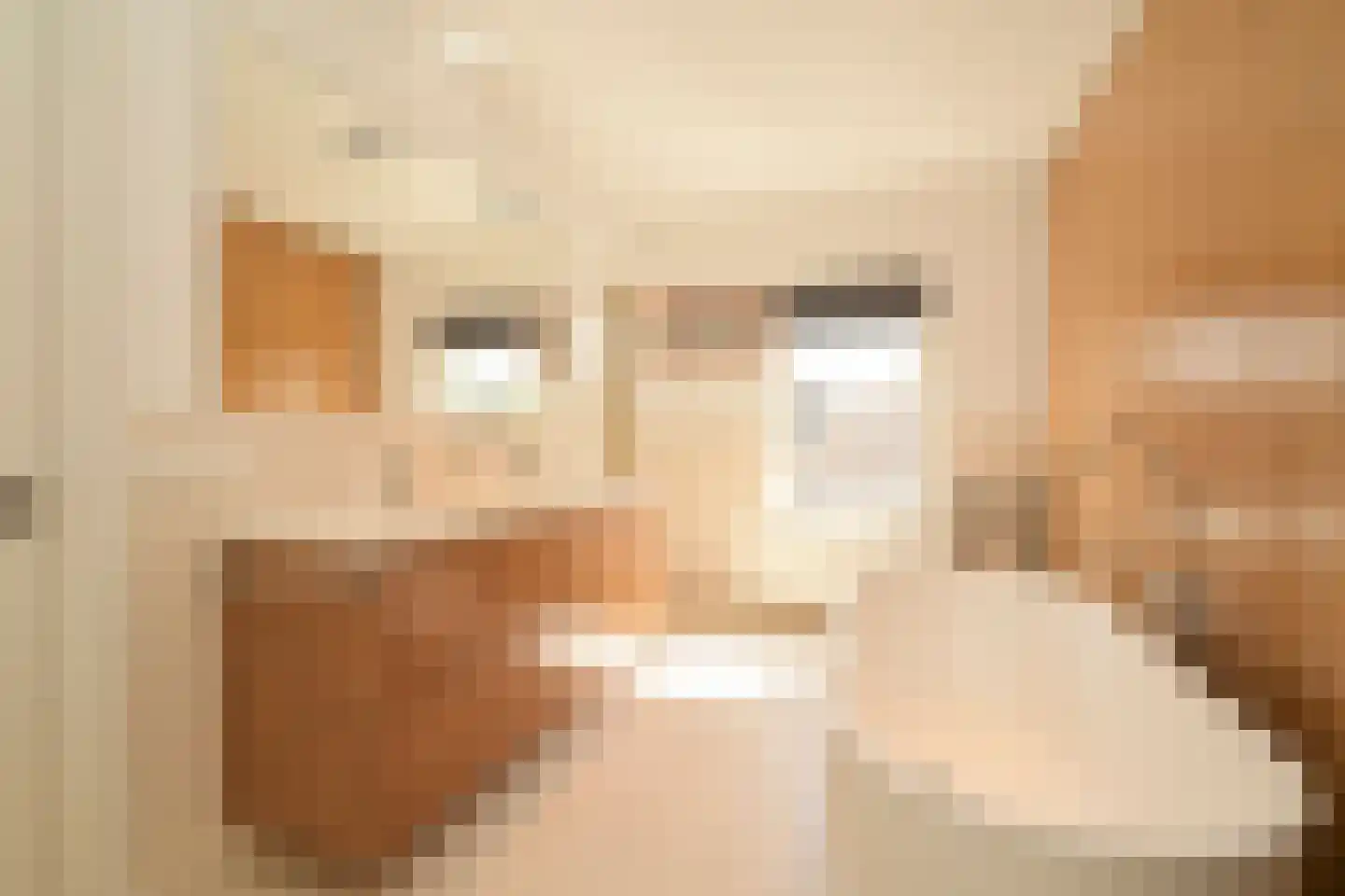 Zijdeweg 4 Wassenaar thumbnail 34
