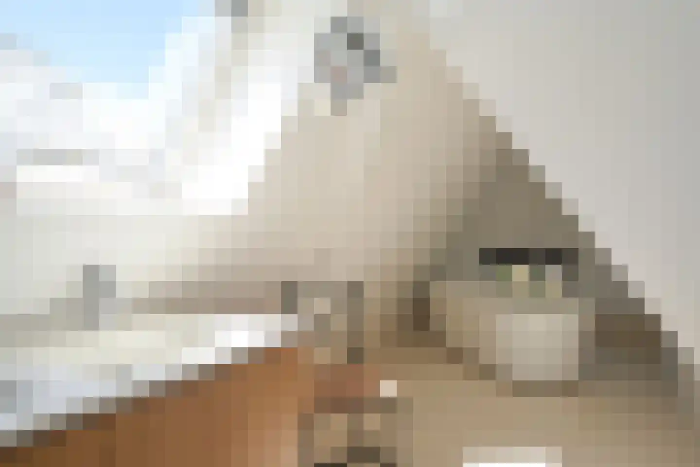 Zijdeweg 4 Wassenaar thumbnail 38