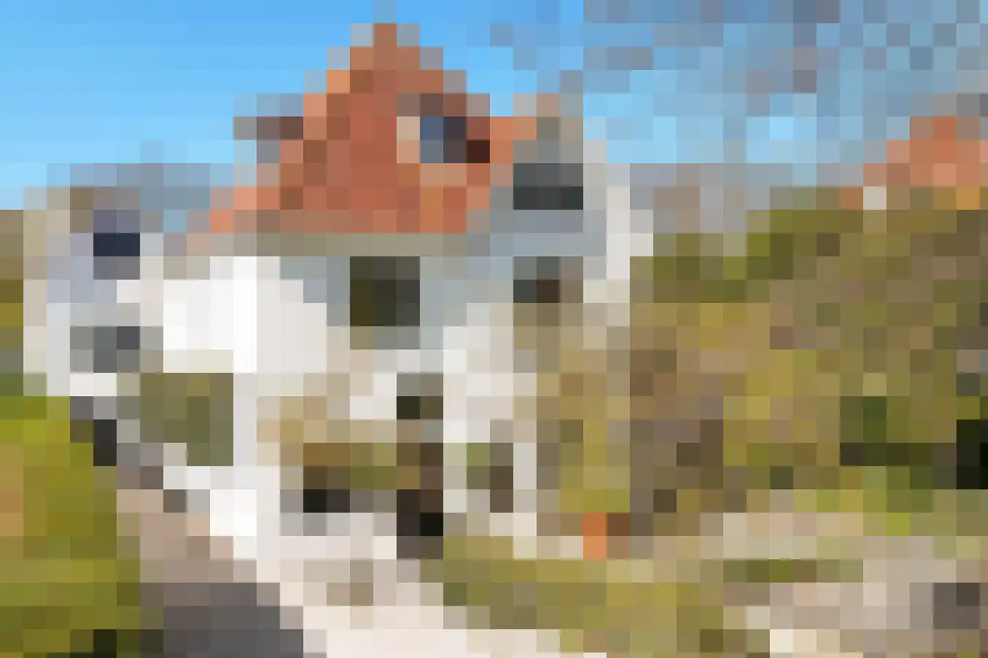 Zijdeweg 4 Wassenaar thumbnail 39