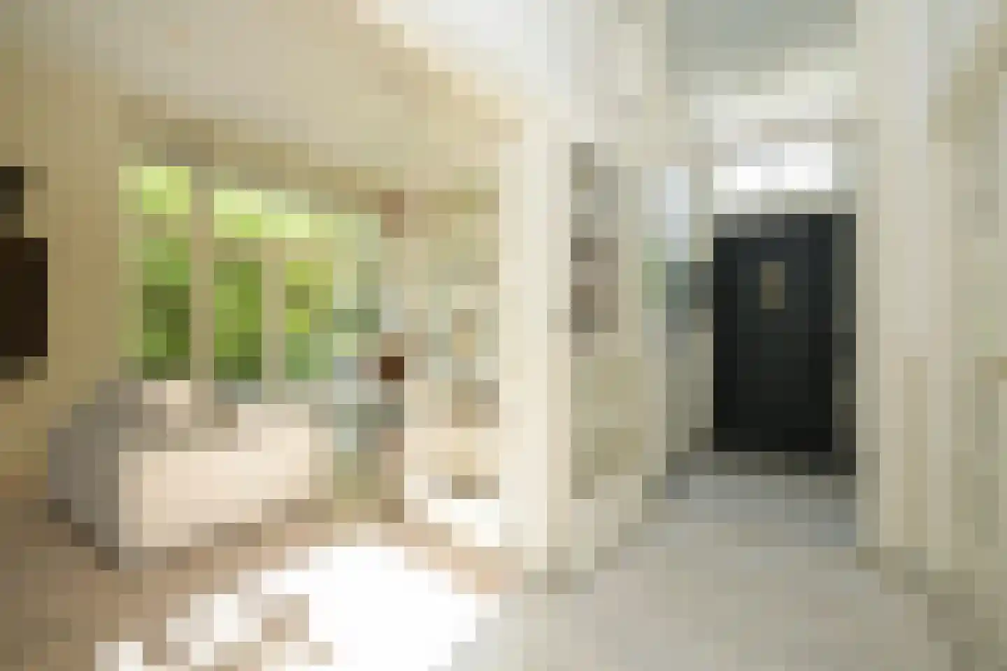 Zijdeweg 4 Wassenaar thumbnail 6