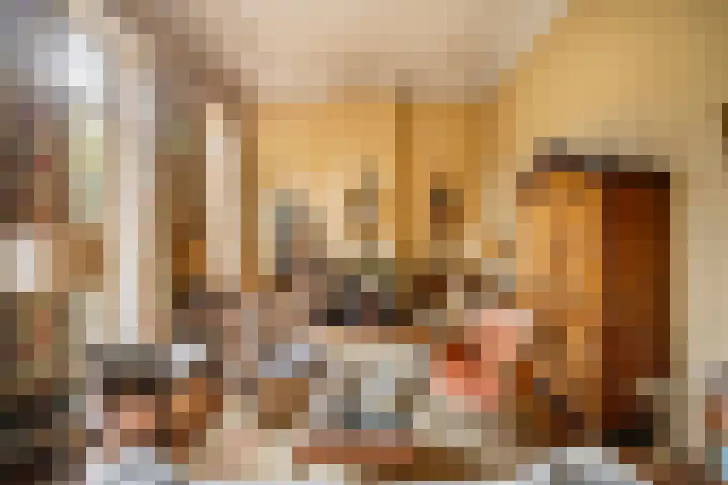 Zijdeweg 47 Wassenaar thumbnail 11