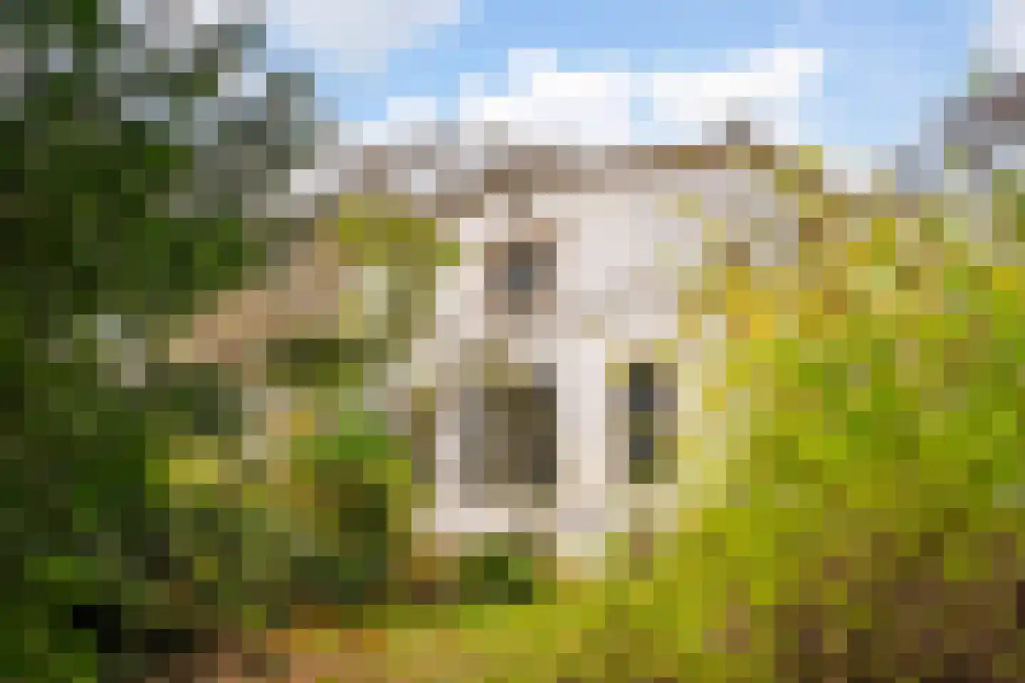 Zijdeweg 47 Wassenaar thumbnail 50