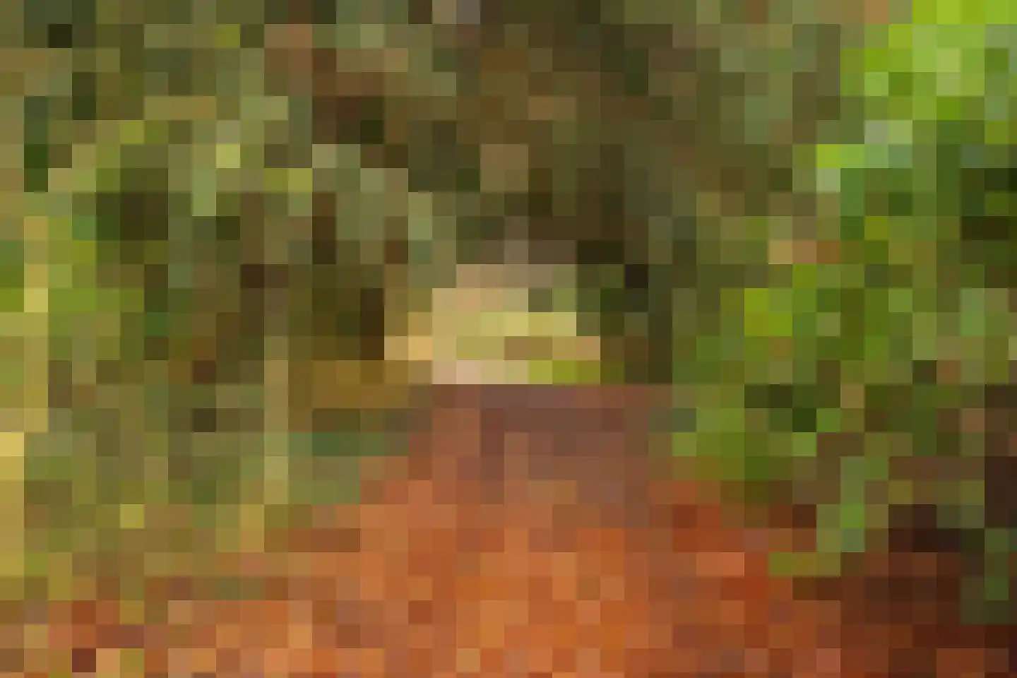 Zijdeweg 47 Wassenaar thumbnail 56