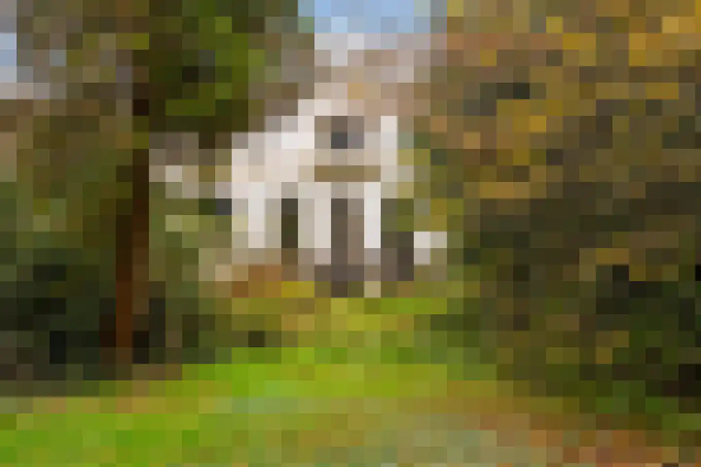 Zijdeweg 47 Wassenaar thumbnail 57