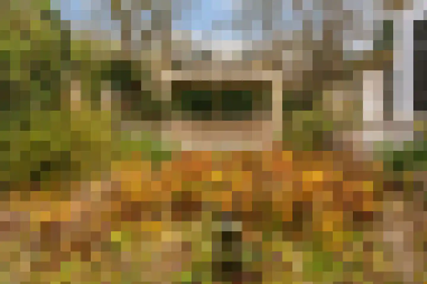 Zijdeweg 47 Wassenaar thumbnail 58