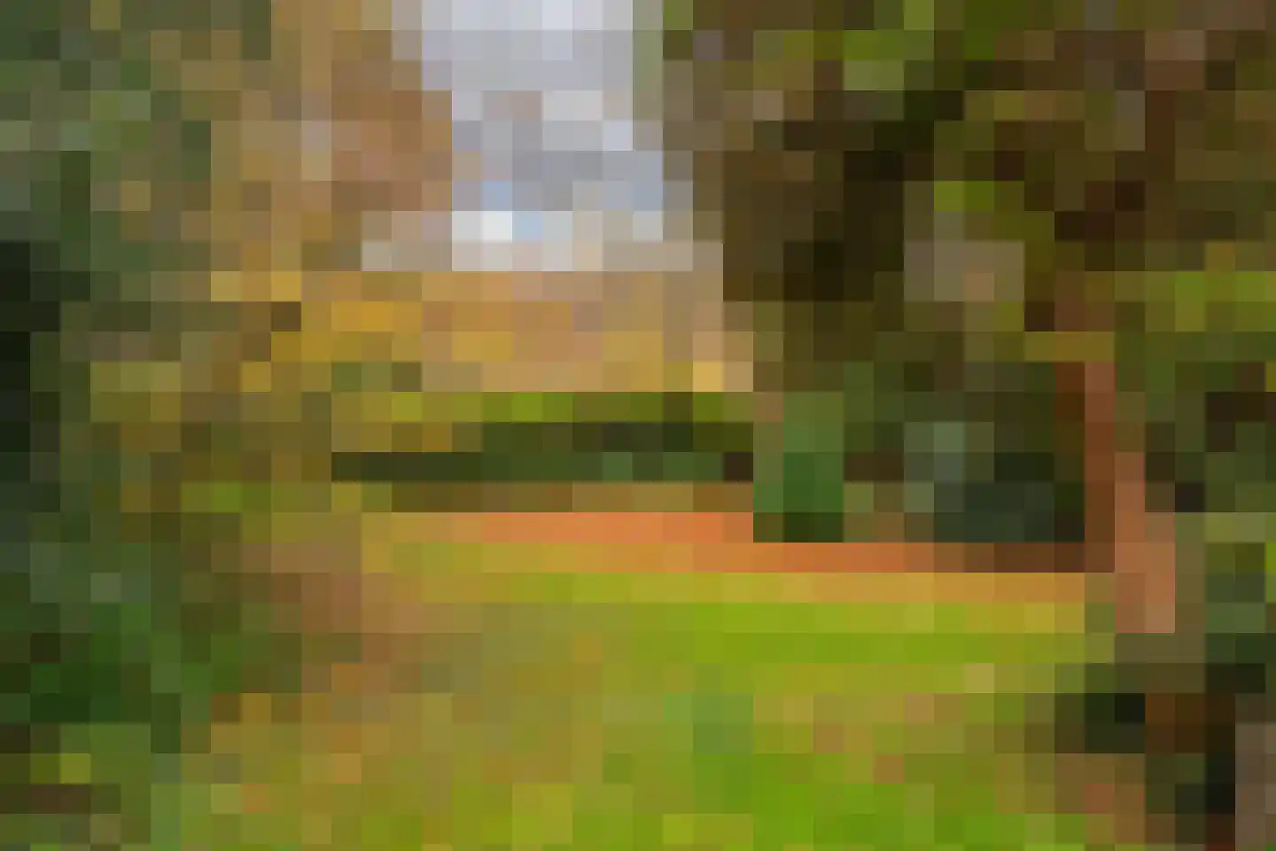 Zijdeweg 47 Wassenaar thumbnail 59