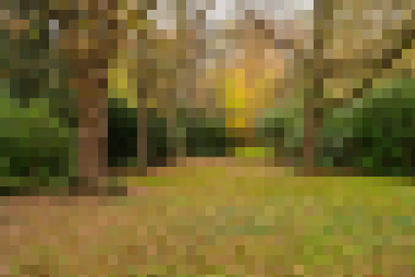 Zijdeweg 47 Wassenaar thumbnail 60