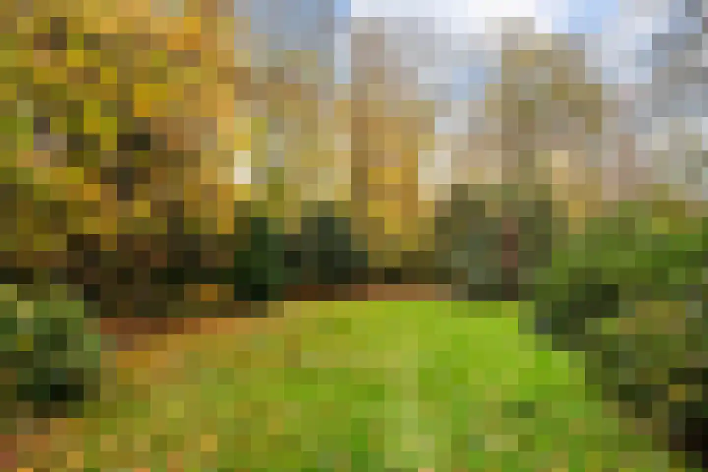 Zijdeweg 47 Wassenaar thumbnail 61