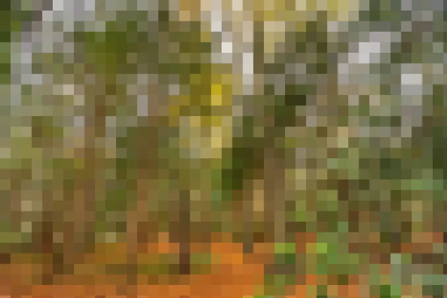 Zijdeweg 47 Wassenaar thumbnail 62
