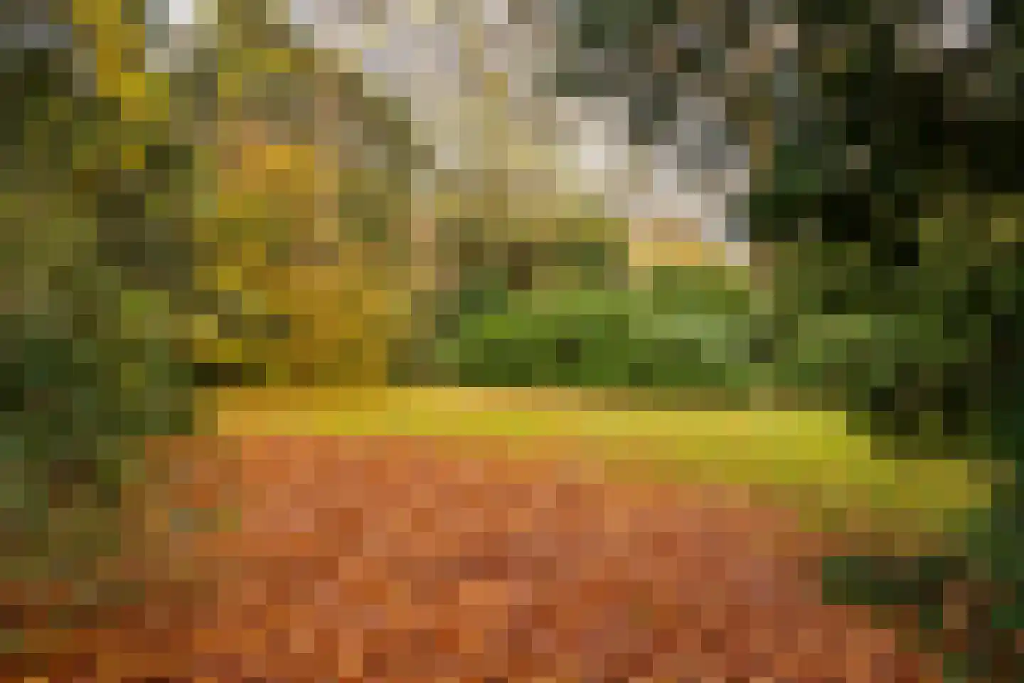 Zijdeweg 47 Wassenaar thumbnail 63