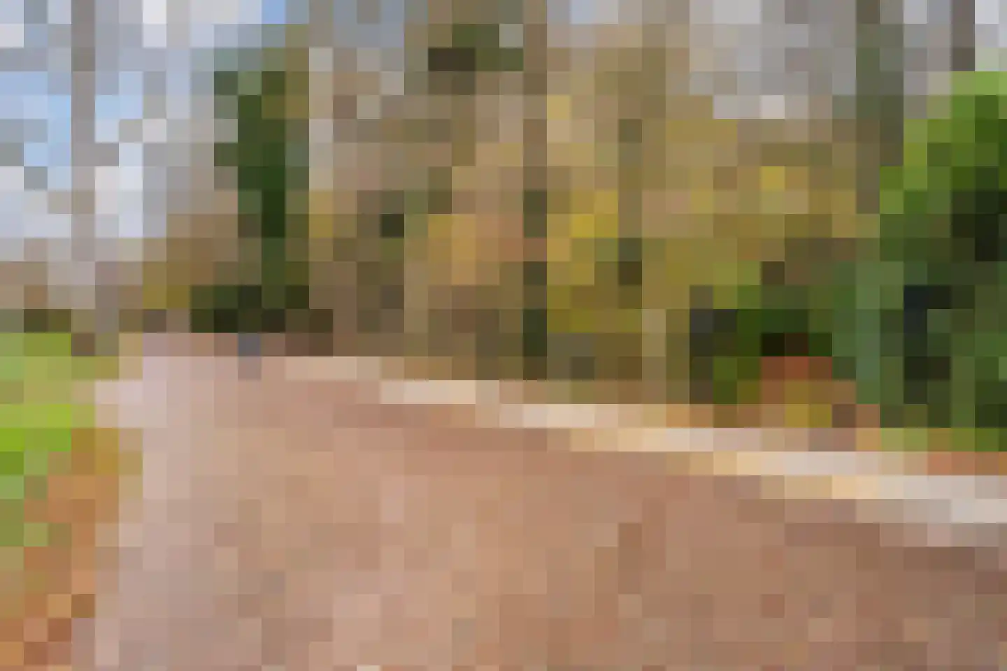 Zijdeweg 47 Wassenaar thumbnail 64