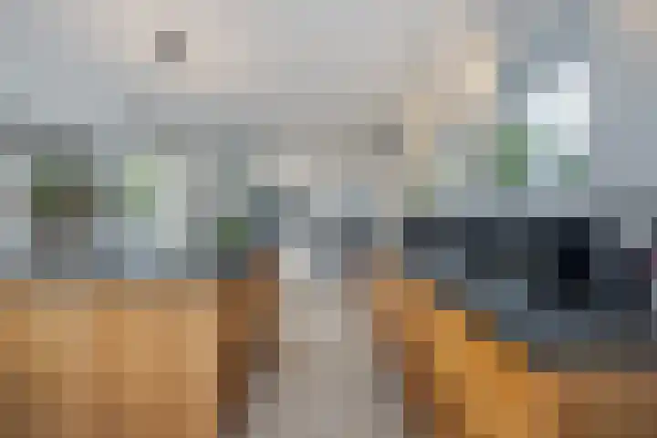 Zijdeweg 7 Wassenaar thumbnail 26