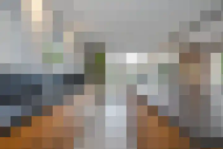 Zijdeweg 7 Wassenaar thumbnail 28
