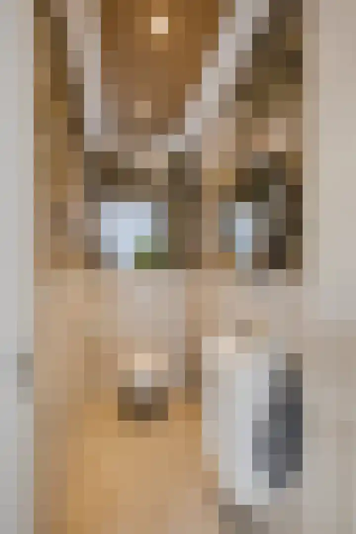 Zijdeweg 7 Wassenaar thumbnail 31