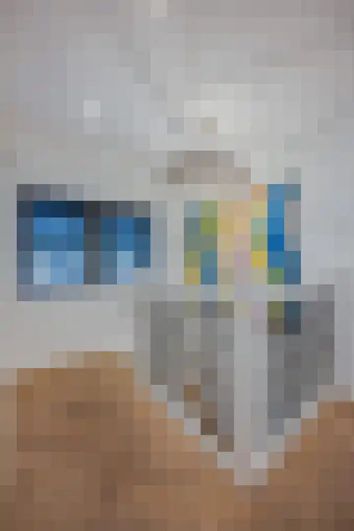 Zijdeweg 7 Wassenaar thumbnail 32