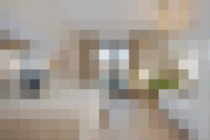 Zijdeweg 7 Wassenaar thumbnail 33