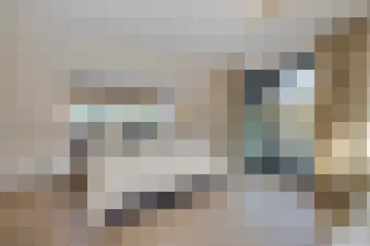 Zijdeweg 7 Wassenaar thumbnail 34