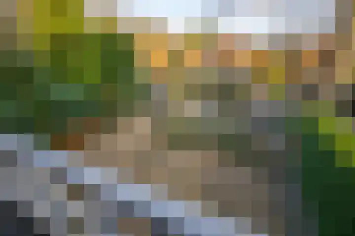 Zijdeweg 7 Wassenaar thumbnail 38