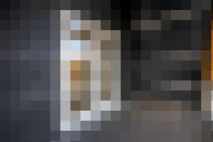 Zijdeweg 7 Wassenaar thumbnail 39