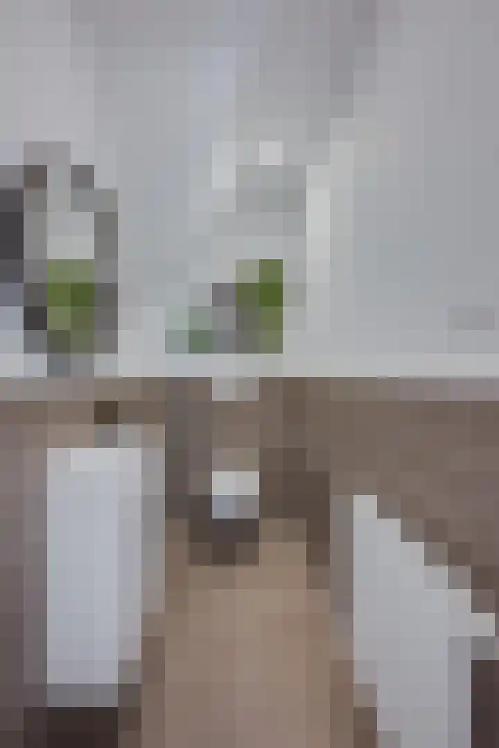Zijdeweg 7 Wassenaar thumbnail 42