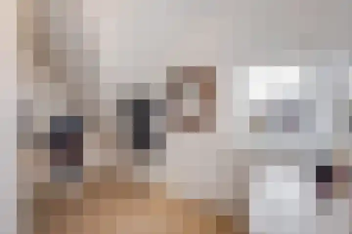 Zijdeweg 7 Wassenaar thumbnail 43