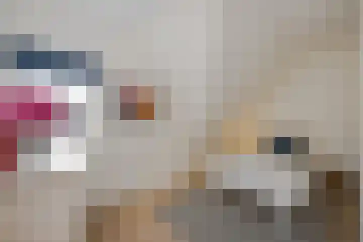 Zijdeweg 7 Wassenaar thumbnail 44