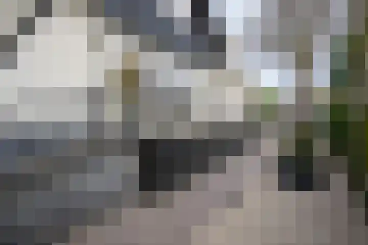 Zijdeweg 7 Wassenaar thumbnail 5